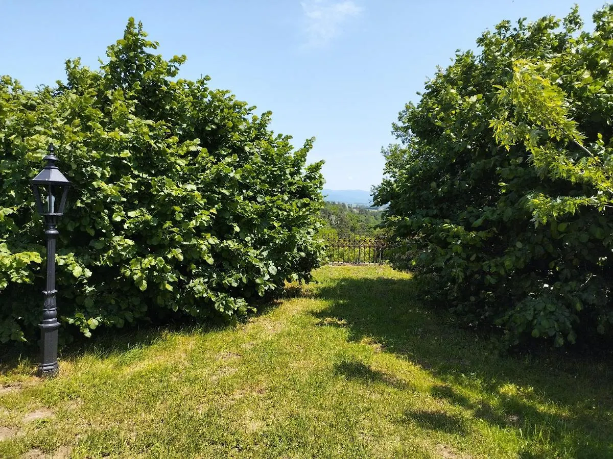 Holiday home Gite Du Cedre Courpiere